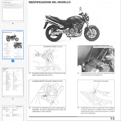 Honda Hornet CB 600 Fw (1998-2003) manuale officina - repair manual FAST
