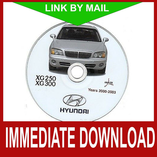 Hyundai XG 250-300 (2000-2003) manuale officina - repair manual FAST