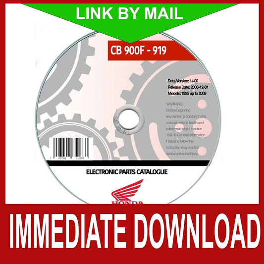 Honda Hornet CB 900F (2002-2006) manuale officina - repair manual FAST