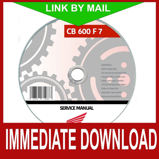 Honda Hornet CB 600 F7 (2007-2010) manuale officina - repair manual FAST